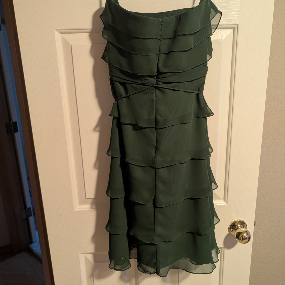 Lazaro Green Ruffled Dress - Picture 8 of 8